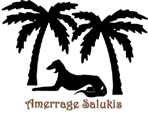 Amerrage Salukis Logo